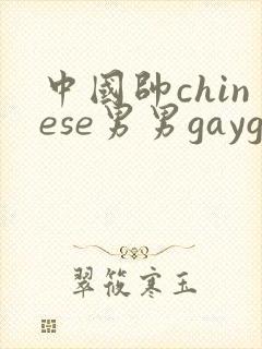 中国帅chinese男男gaygay网站