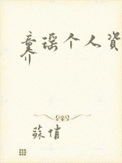 童瑶个人资料简介