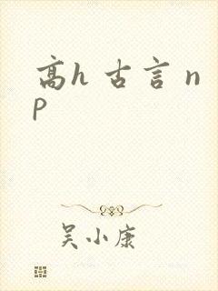 高h 古言 np