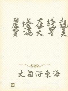 丽塔在线观看免费满天星美剧电视剧