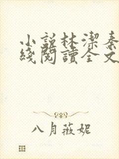 小说林洁秦齐在线阅读全文