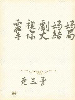 电视剧妈妈在家等你大结局