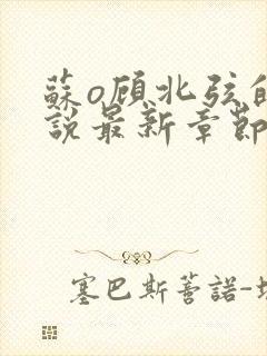 苏o顾北弦的小说最新章节免费阅读封面