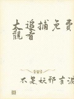 大追捕免费在线观看