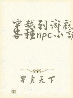 穿越到游戏里和各种npc小说