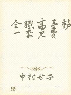 全职高手动漫第一季免费