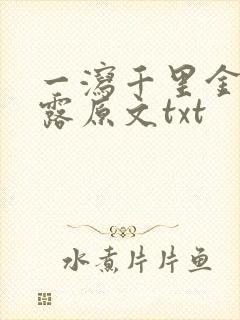 一泻千里金银花露原文txt