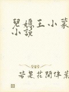 儿媳王小蒙系列小说