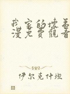 我家的坏弟弟动漫免费观看全集封面