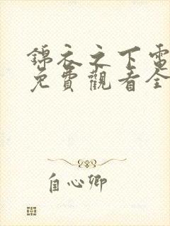 锦衣之下电视剧免费观看全集高清封面