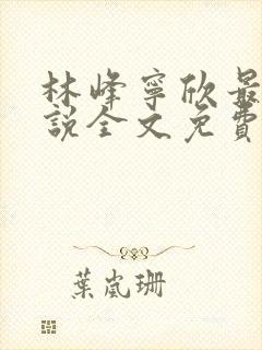 林峰宁欣最新小说全文免费阅读