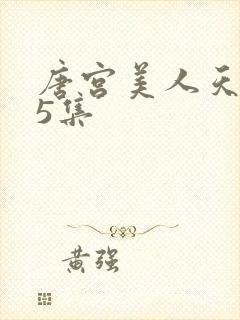 唐宫美人天下第5集封面