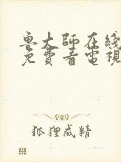 鲁大师在线高清免费看电视剧封面