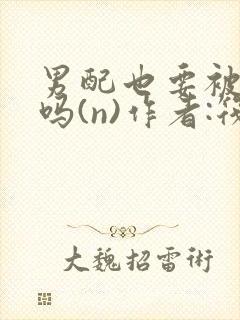 男配也要被爆炒吗(n)作者:筏喻