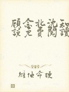 顾念北沈知宁小说免费阅读最新章节