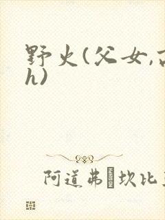 野火(父女,高h)封面