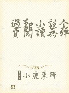 过节小说全文免费阅读无弹窗