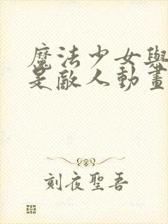 魔法少女与恶曾是敌人动画封面