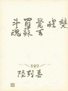 斗罗觉醒双生武魂苏玄封面