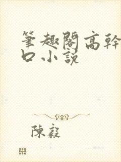 笔趣阁高干文入口小说