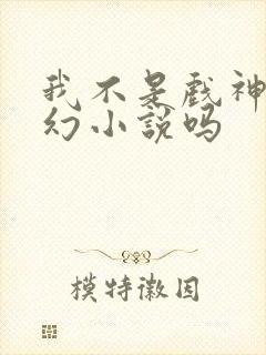 我不是戏神是玄幻小说吗封面