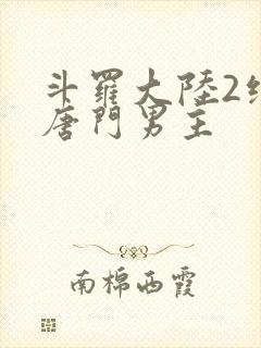 斗罗大陆2绝世唐门男主