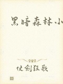 黑暗森林小说封面