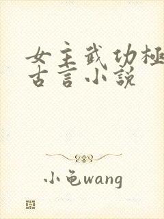 女主武功极高的古言小说封面