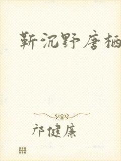 靳沉野唐栖雾