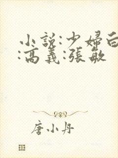 小说:少妇白洁:高义:张敏封面