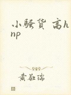 小骚货 高h np