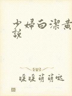 少妇白洁黄色小说封面