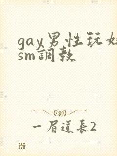 gay男性玩奴sm调教