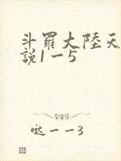 斗罗大陆天狂传说1一5封面