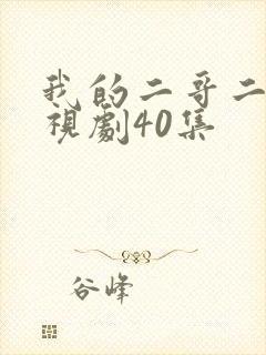 我的二哥二嫂电视剧40集