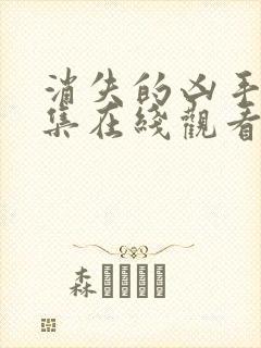 消失的凶手第9集在线观看