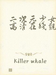 二次元少女动漫高清在线观看