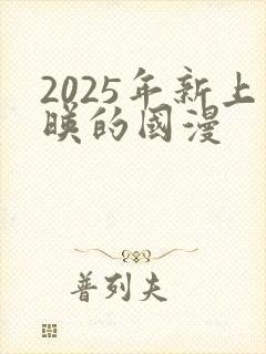 2025年新上映的国漫