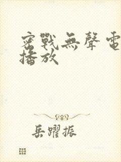 密战无声电视剧播放