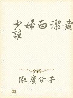 少妇白洁黄色小说