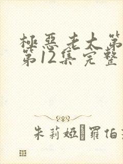 极恶老大第2季第12集完整版封面