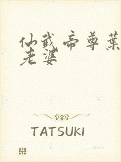 仙武帝尊叶辰的老婆