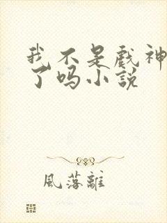 我不是戏神完结了吗小说