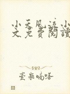 小天风流小说全文免费阅读无弹窗下