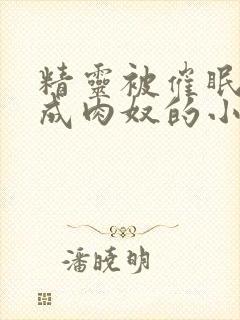 精灵被催眠调教成肉奴的小说