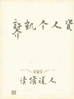 许凯个人资料简介