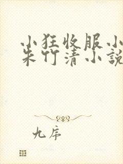 小狂收服小舞,朱竹清小说免费阅读