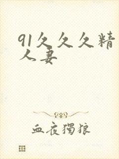 91久久久精品人妻封面