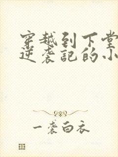 穿越到下堂王妃逆袭记的小说