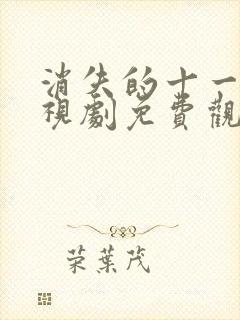 消失的十一层电视剧免费观看完整版